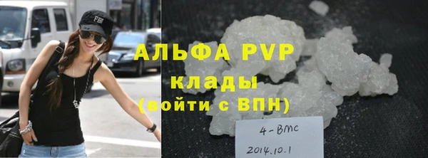 бошки Богданович