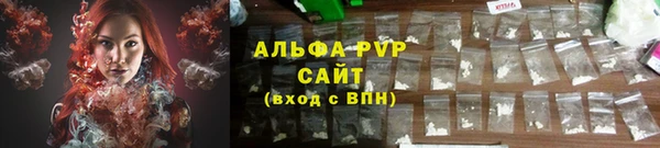 бошки Богданович