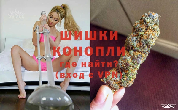 бошки Богданович