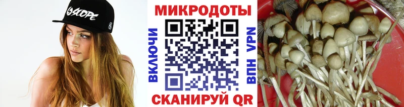 даркнет сайт  Богданович  Псилоцибиновые грибы Psilocybe 